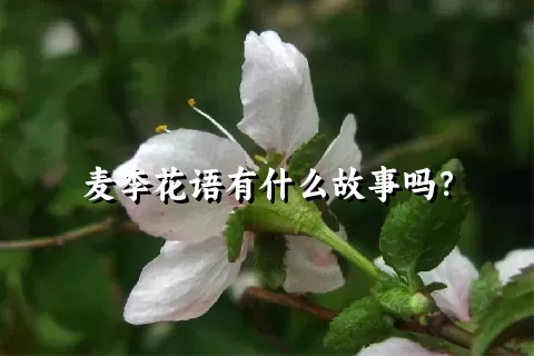 麦李花语有什么故事吗？