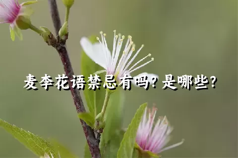 麦李花语禁忌有吗？是哪些？