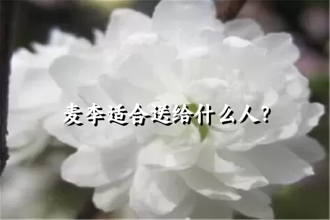 麦李适合送给什么人？