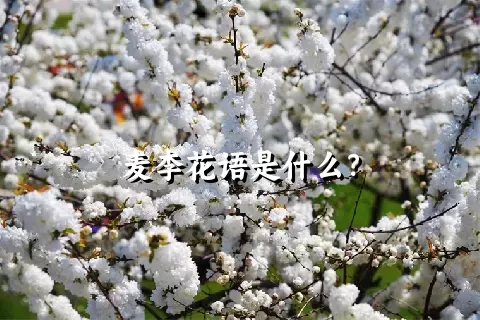 麦李花语是什么？