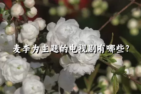 麦李为主题的电视剧有哪些？