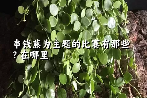 串钱藤为主题的比赛有那些？在哪里