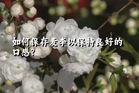 如何保存麦李以保持良好的口感？