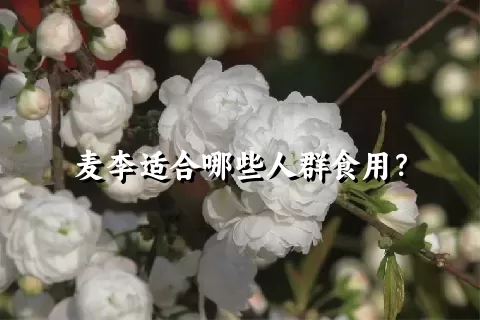 麦李适合哪些人群食用？