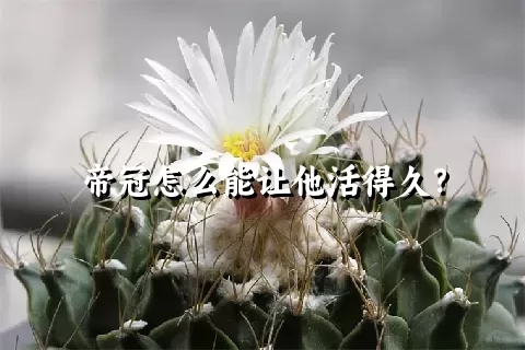 帝冠怎么能让他活得久？