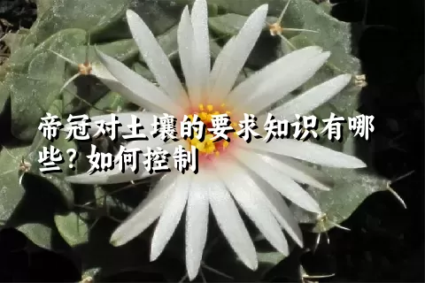 帝冠对土壤的要求知识有哪些？如何控制