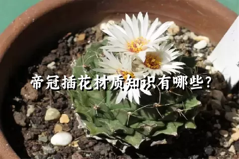 帝冠插花材质知识有哪些？