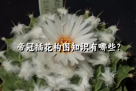 帝冠插花构图知识有哪些？