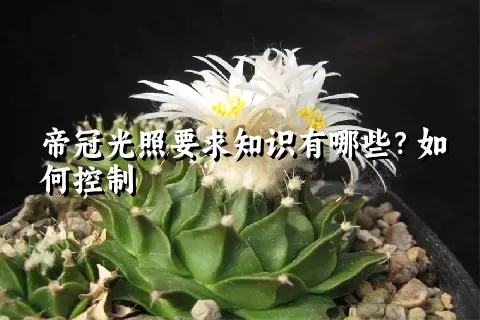 帝冠光照要求知识有哪些？如何控制