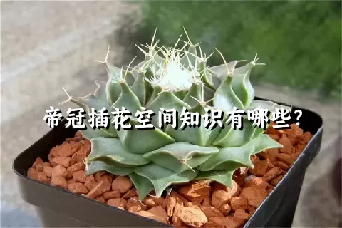 帝冠插花空间知识有哪些？