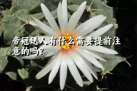 帝冠送人有什么需要提前注意的吗？