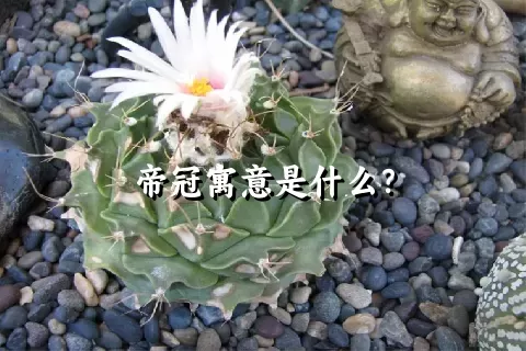 帝冠寓意是什么？