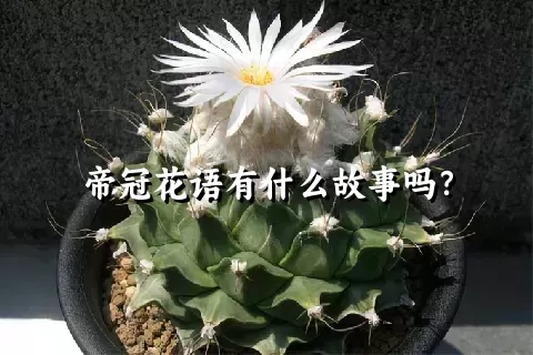 帝冠花语有什么故事吗？