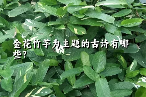 金花竹芋为主题的古诗有哪些？