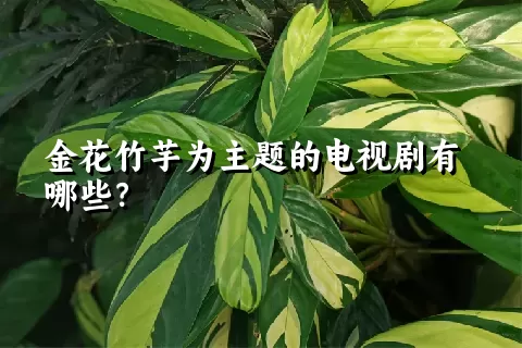 金花竹芋为主题的电视剧有哪些？