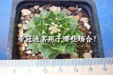 帝冠通常用于哪些场合？