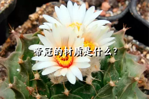 帝冠的材质是什么？