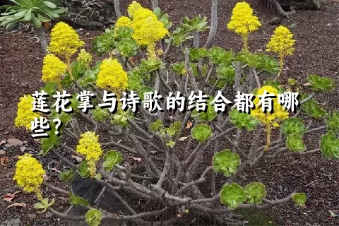 莲花掌与诗歌的结合都有哪些？