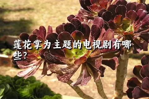 莲花掌为主题的电视剧有哪些？