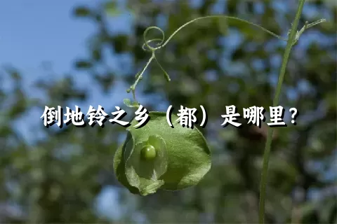 倒地铃之乡（都）是哪里？