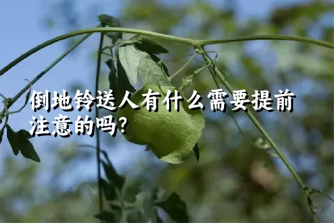 倒地铃送人有什么需要提前注意的吗？