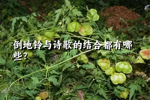 倒地铃与诗歌的结合都有哪些？