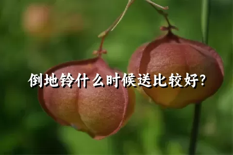 倒地铃什么时候送比较好？