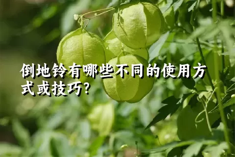 倒地铃有哪些不同的使用方式或技巧？