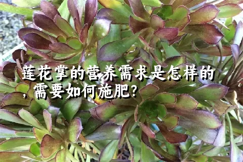 莲花掌的营养需求是怎样的，需要如何施肥？