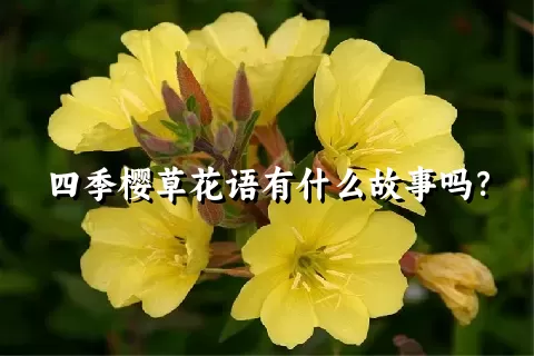 四季樱草花语有什么故事吗？