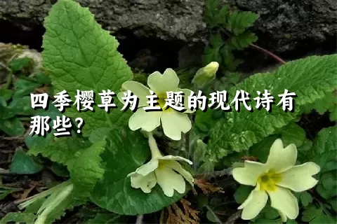 四季樱草为主题的现代诗有那些？