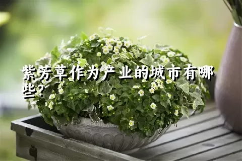 紫芳草作为产业的城市有哪些？