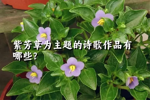 紫芳草为主题的诗歌作品有哪些？