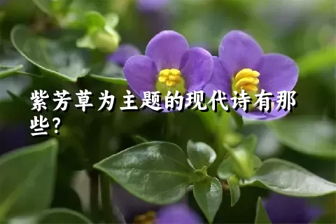 紫芳草为主题的现代诗有那些？