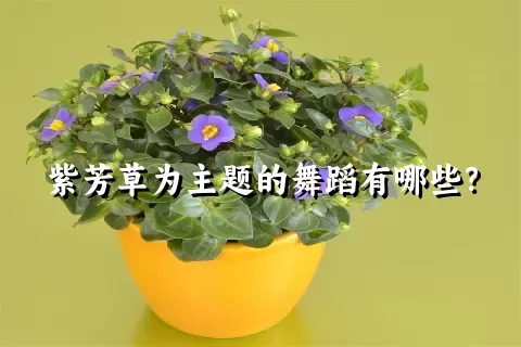 紫芳草为主题的舞蹈有哪些？