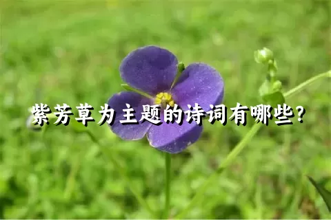 紫芳草为主题的诗词有哪些？