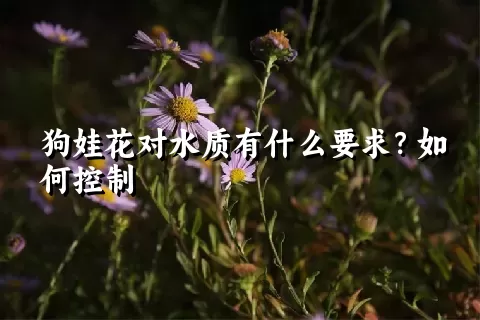 狗娃花对水质有什么要求？如何控制