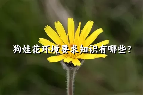 狗娃花环境要求知识有哪些？