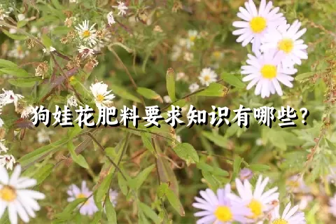 狗娃花肥料要求知识有哪些？