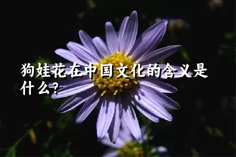 狗娃花在中国文化的含义是什么？