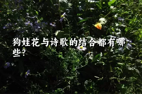 狗娃花与诗歌的结合都有哪些？