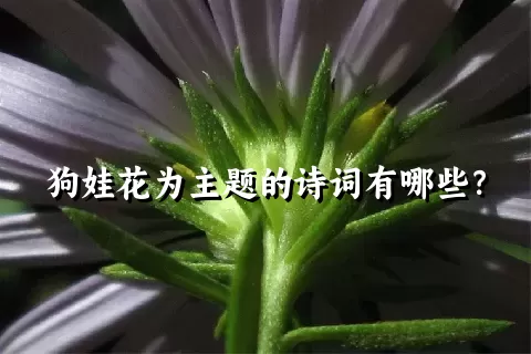 狗娃花为主题的诗词有哪些？