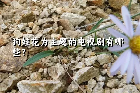 狗娃花为主题的电视剧有哪些？