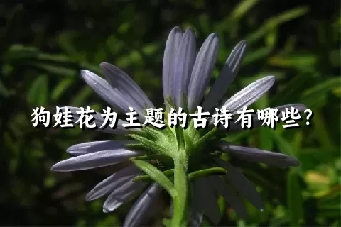 狗娃花为主题的古诗有哪些？