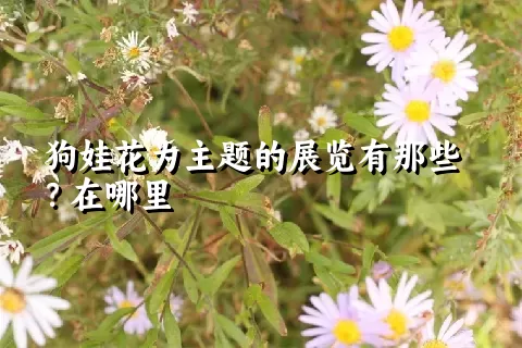 狗娃花为主题的展览有那些？在哪里