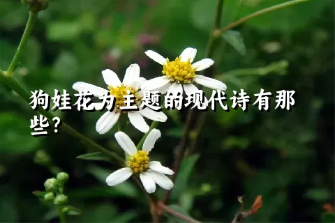 狗娃花为主题的现代诗有那些？