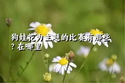 狗娃花为主题的比赛有那些？在哪里