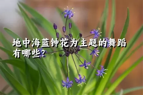 地中海蓝钟花为主题的舞蹈有哪些？