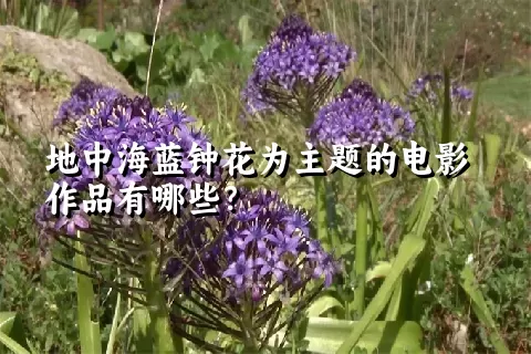 地中海蓝钟花为主题的电影作品有哪些？