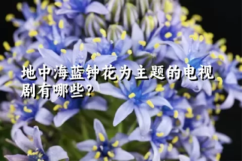 地中海蓝钟花为主题的电视剧有哪些？